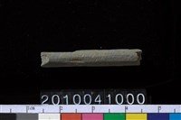 藏品(石針)的圖片