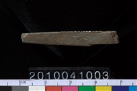 藏品(石針)的圖片