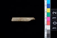 藏品(石針)的圖片