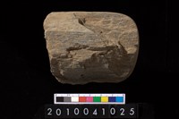 藏品(石杵)的圖片