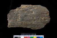 藏品(石杵)的圖片