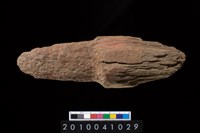 藏品(石杵)的圖片