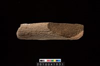 藏品(石杵)的圖片