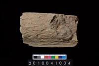 藏品(石杵)的圖片