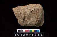 藏品(石杵)的圖片