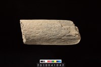 藏品(石杵)的圖片