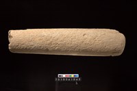 藏品(石杵)的圖片