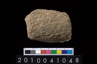 藏品(石杵)的圖片