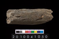 藏品(石杵)的圖片