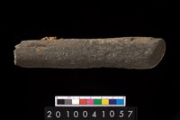 藏品(石杵)的圖片