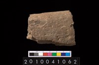 藏品(石杵)的圖片