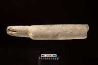 藏品(石杵)的圖片