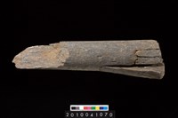 藏品(石杵)的圖片