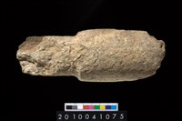 藏品(石杵)的圖片