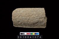 藏品(石杵)的圖片