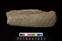 藏品(石杵)的圖片