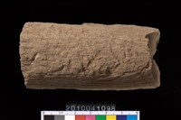 藏品(石杵)的圖片