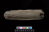 藏品(石杵)的圖片