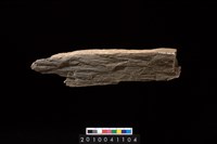 藏品(石杵)的圖片