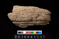 藏品(石杵)的圖片