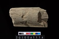 藏品(石杵)的圖片