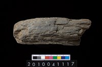 藏品(石杵)的圖片