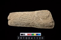 藏品(石杵)的圖片