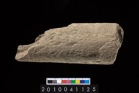 藏品(石杵)的圖片