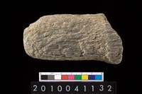 藏品(石杵)的圖片