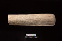 藏品(石杵)的圖片