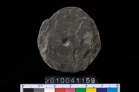 藏品(帶穿板岩片)的圖片