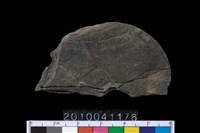 藏品(帶穿板岩片)的圖片