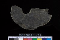 藏品(小石輪)的圖片