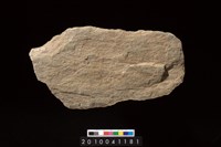 藏品(石耜)的圖片