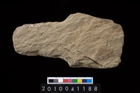 藏品(石耜)的圖片