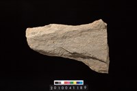 藏品(石耜)的圖片