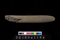 藏品(有槽石棒)的圖片