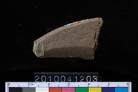 藏品(石鐮)的圖片