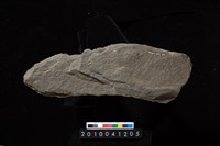 藏品(石鐮)的圖片