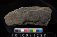 藏品(石鐮)的圖片