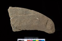 藏品(石鐮)的圖片