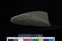 藏品(石鐮)的圖片