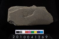 藏品(石鐮)的圖片