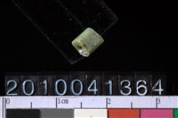 藏品(玉管珠)的圖片