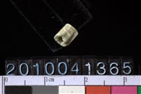 藏品(玉管珠)的圖片