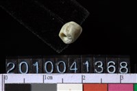 藏品(玉管珠)的圖片