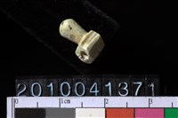 藏品(玉管珠)的圖片