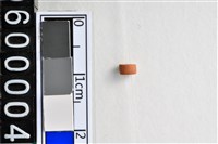 藏品(琉璃珠)的圖片
