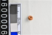 藏品(琉璃珠)的圖片