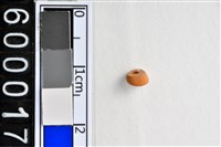 藏品(琉璃珠)的圖片